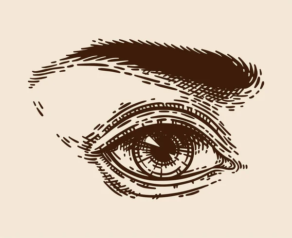 Hand Drawn Beautiful Female Eye Vintage Engraving Style Retro Antique — Stock Vector