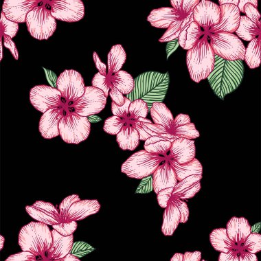 Güzel, pürüzsüz, koyu çiçek desenli, siyah üzerine pembe elma çiçekleri. Doğanın botanik vektör arkaplan çizimi. Stok grafik tasarımı.