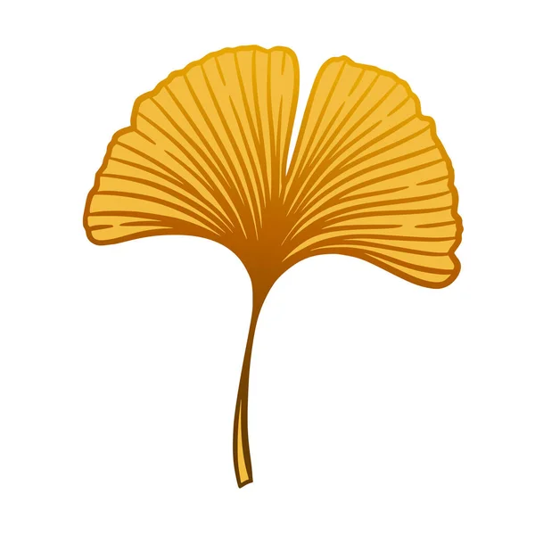 Oranje Ginkgo Gingko Biloba Blad Natuur Botanische Val Vector Illustratie — Stockvector