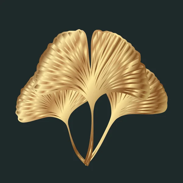 Ginkgo Gingko Biloba Gouden Bladeren Natuur Botanische Goud Vector Illustratie — Stockvector