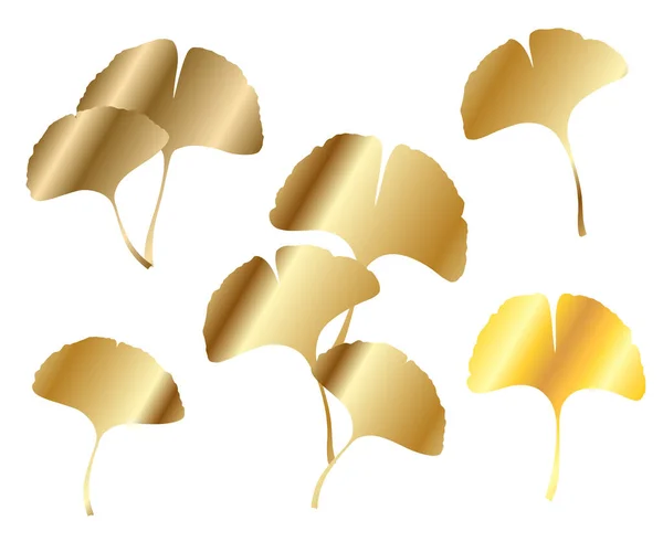 Ginkgo Gingko Biloba Gouden Bladeren Set Natuur Botanische Goud Vector — Stockvector