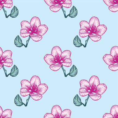 Pembe elma çiçekleriyle kusursuz çiçek desenleri. Doğanın botanik vektör arkaplan çizimi. Stok grafik tasarımı.