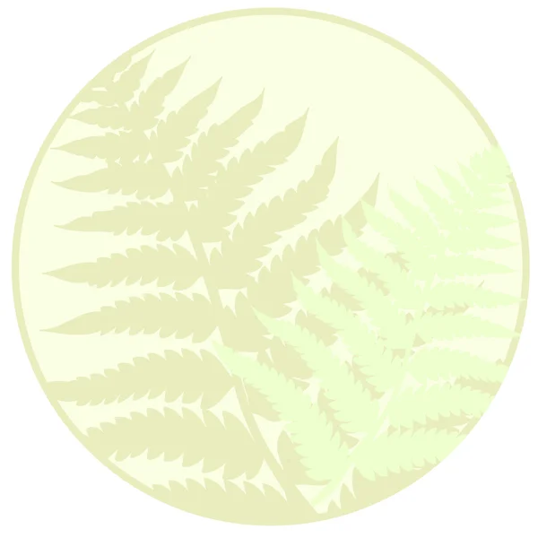 Fern verlaat achtergrond — Stockvector