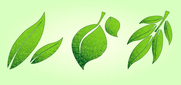 Trois icônes de feuilles ornées — Image vectorielle