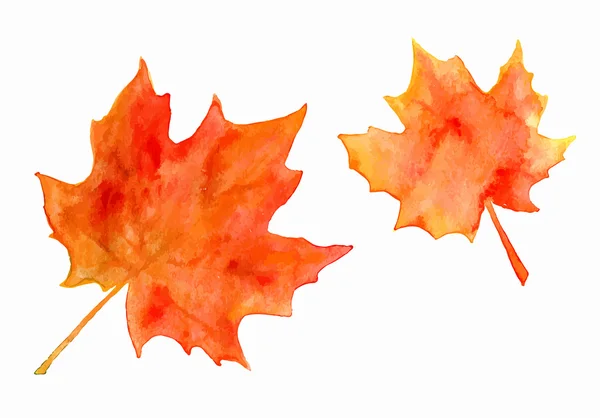 Feuilles d'érable aquarelle — Image vectorielle