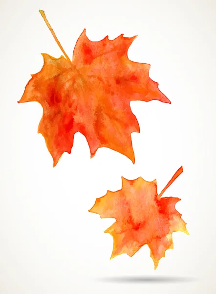 Acuarela hojas de arce — Vector de stock