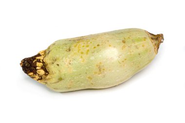 Soluk bir kabak geniş bir küf ve yüzeyinde çürüme gösterir. Bozulmuş ürün ve yiyecek atıkları. Sağlık güvenliği, depolama ipuçları ve mutfak hijyeni konuları.