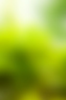 Abstract blur background