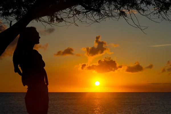 Pôr do sol em aruba Fotos De Bancos De Imagens