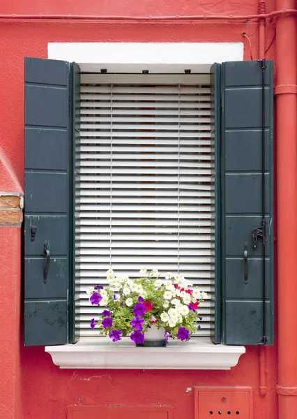 Burano pencere — Stok fotoğraf