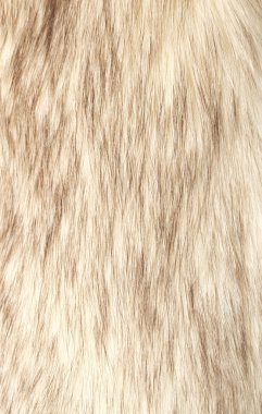 Fur background clipart
