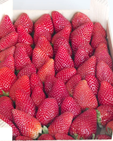 Strawberry background — Stock Photo, Image