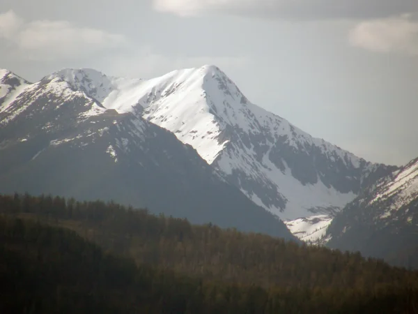 Montañas Sayan del Este. La República de Buriatia. Rusia — Foto de Stock