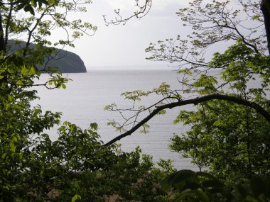 Ussuri Bay View. Rus Adası. Vladivostok. Primorsky K