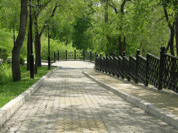 O caminho no parque perto do rio Amur. Khabarovsk. Extremo Oriente . — Fotografia de Stock