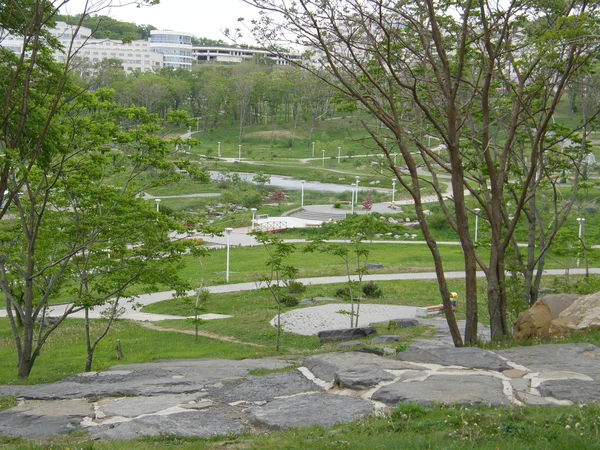 Das Territorium der fernöstlichen Bundesuniversität. Wladiwostok — Stockfoto