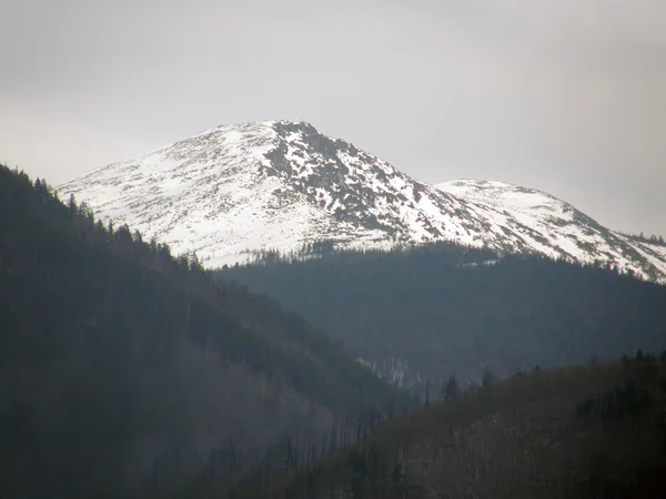 Pico. Montanhas Sayan orientais. A República da Buryatia . Imagens De Bancos De Imagens Sem Royalties