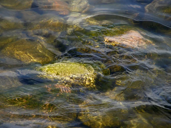 Piedras en el fondo del lago . —  Fotos de Stock