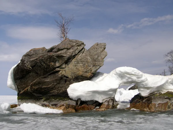 Een gesteente schildpad op het Baikalmeer. — Stockfoto