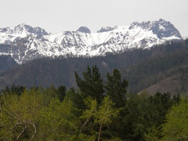 En yüksek. Doğu Sayan Dağları. Buryatia Cumhuriyeti.
