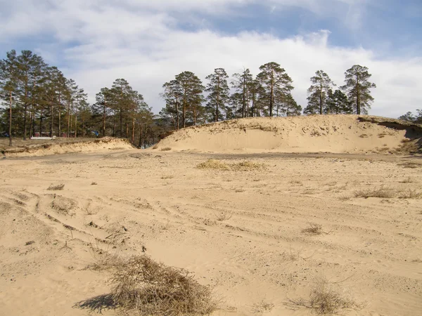 Sandy Hill en el bosque . — Foto de Stock