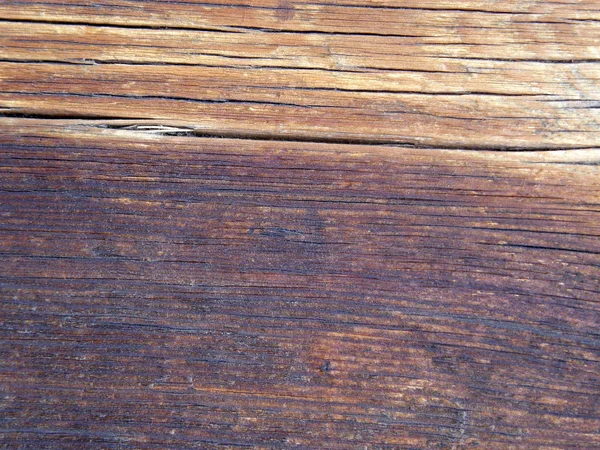 Textura starý strom. — Stock fotografie
