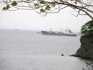 Uzak Doğu Karadeniz kıyısında. Vladivostok. Rus Adası. Ussuri B
