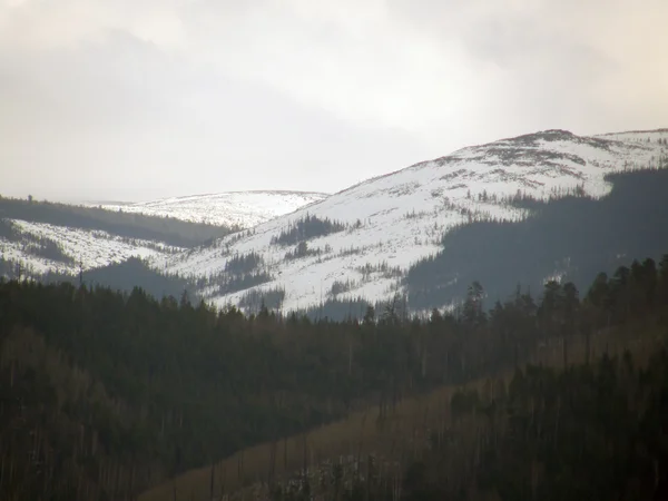 Picco. Montagne Sayan orientali. La Repubblica di Buryatia . — Foto Stock