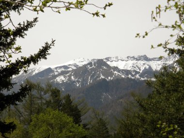 En yüksek. Doğu Sayan Dağları. Buryatia Cumhuriyeti.