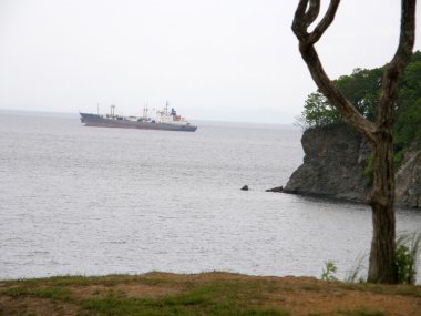 Uzak Doğu Karadeniz kıyısında. Vladivostok. Rus Adası.