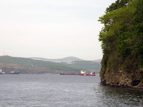 Uzak Doğu Karadeniz kıyısında. Vladivostok. Rus Adası.