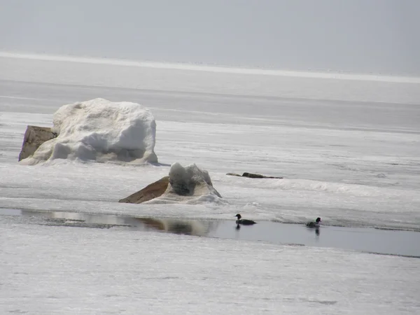 Lago Baikal cubierto de hielo. Primavera . —  Fotos de Stock