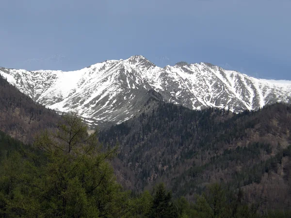 Picco. Montagne Sayan orientali. La Repubblica di Buryatia . Foto Stock Royalty Free