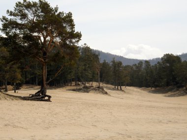 Deniz Baykal buz kaplı. Bahar.