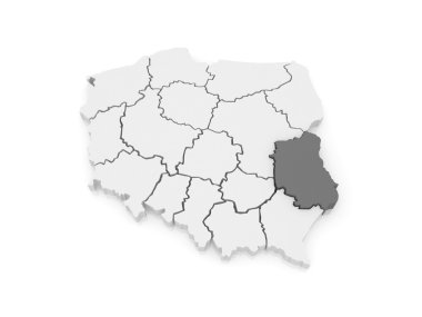 lublin Voyvodalığı Haritası. Polonya.