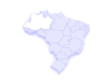 amazonas Haritası. Brezilya.