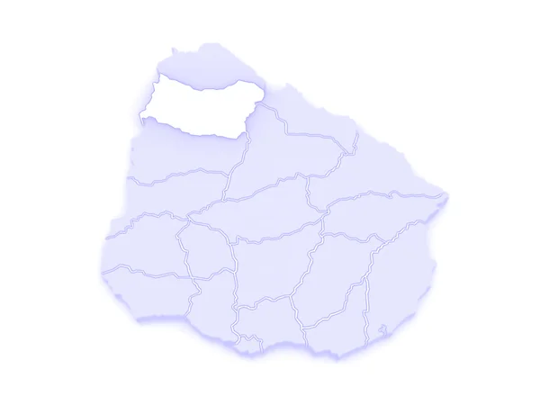 Map of Salto. Uruguay. — Stock Photo, Image