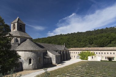 senanque Manastırı