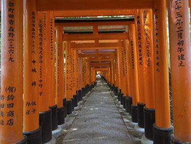 Fushimi Inari Tapınağı 'ndaki Torii kapıları, Kyoto, Japonya
