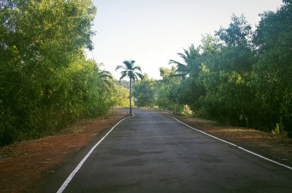 Lege weg in Goa India op zonnige dag — Stockfoto
