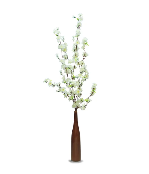 White sakura in the pot over white — Stock Photo, Image