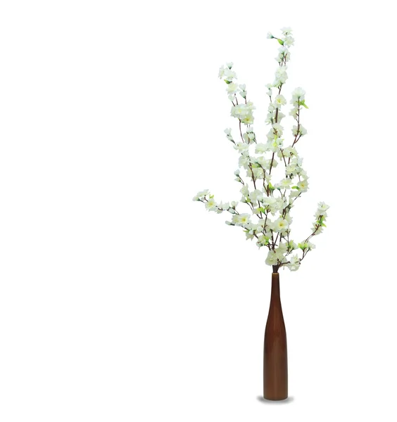 White sakura in the pot over white — Stock Photo, Image