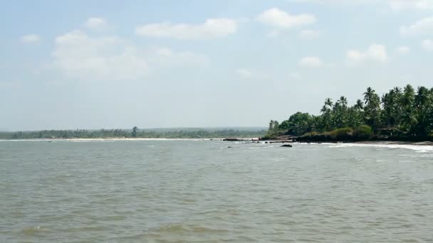 Playa de arena con palmeras — Vídeos de Stock