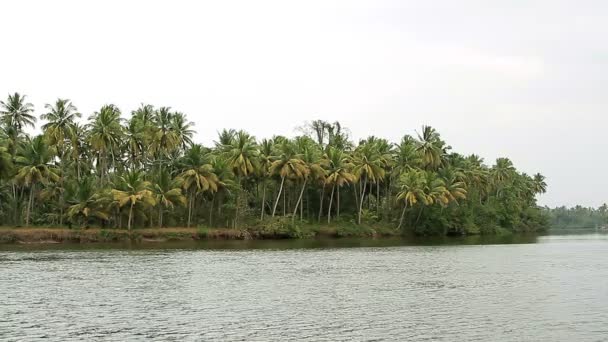 Belle rivière tropicale par temps nuageux — Video