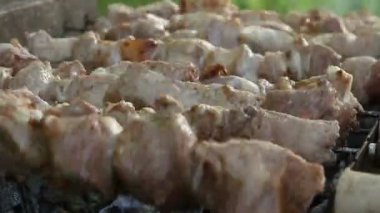 Izgarada leziz et ızgarası..