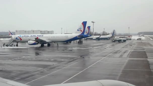 Nézd a repülőgép, a Domodedovo International Airport. — Stock videók