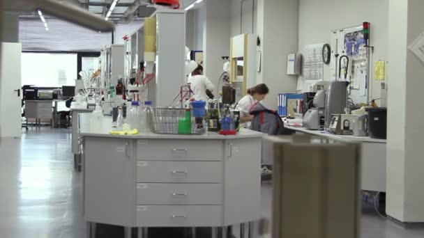 Женщина работает в лаборатории . — стоковое видео