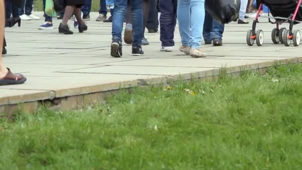 Les gens traversent la route à un passage pour piétons. — Video