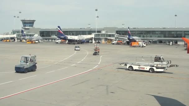 Groot verkeer van passagiersvliegtuigen en service auto rijden op airdrome in Sheremetyevo. — Stockvideo