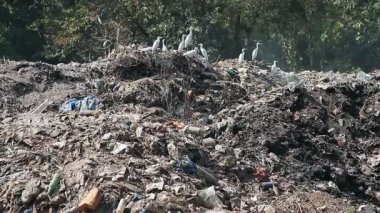 Büyük çöp döküm atıkları